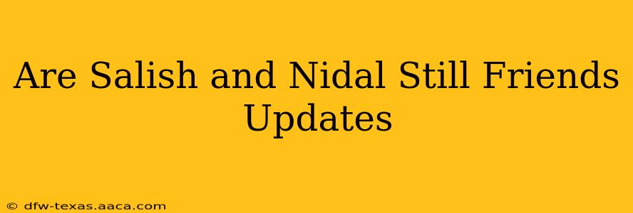 Are Salish and Nidal Still Friends Updates