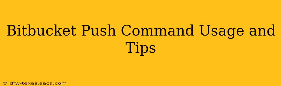 Bitbucket Push Command Usage and Tips