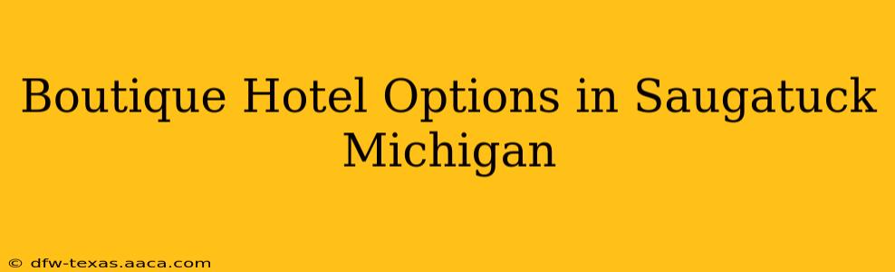 Boutique Hotel Options in Saugatuck Michigan