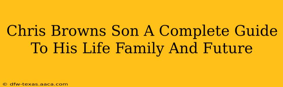 Chris Browns Son A Complete Guide To His Life Family And Future