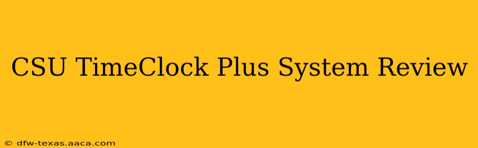 CSU TimeClock Plus System Review