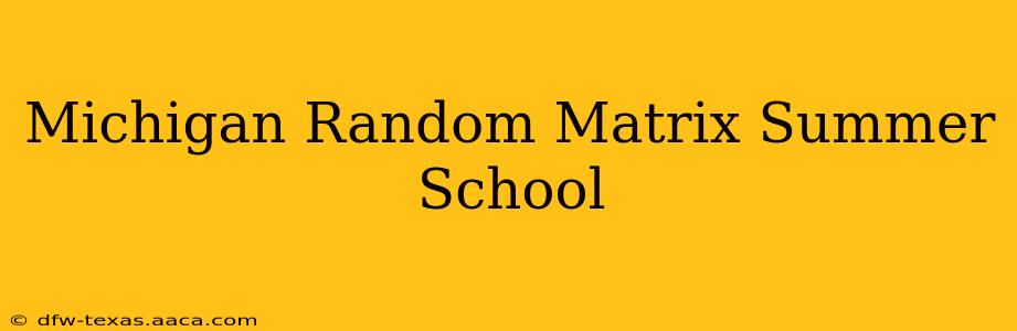 Michigan Random Matrix Summer School