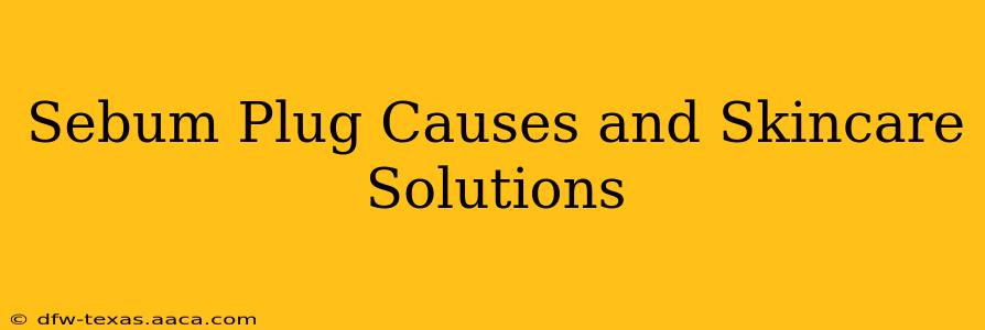 Sebum Plug Causes and Skincare Solutions