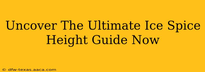Uncover The Ultimate Ice Spice Height Guide Now
