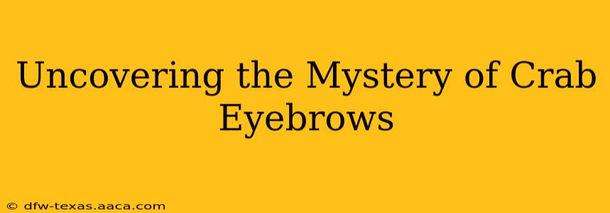 Uncovering the Mystery of Crab Eyebrows