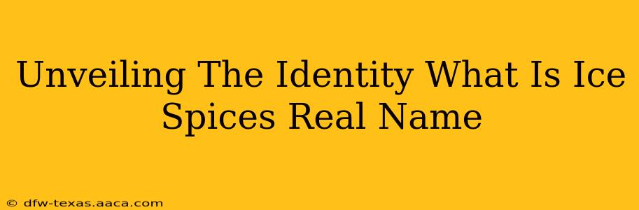 Unveiling The Identity What Is Ice Spices Real Name