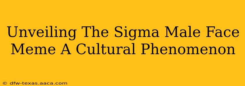 Unveiling The Sigma Male Face Meme A Cultural Phenomenon